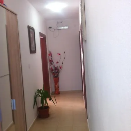 Apartments Nedovic-Jaz Budva Exterior photo